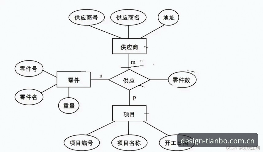 揭秘天博APP使用教程：中国特别版LNZ9设计背后的数据逻辑